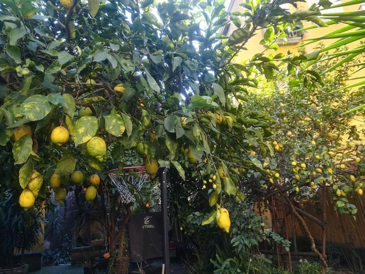 Апартаменты La Limonaia Di Chiaia Неаполь Экстерьер фото